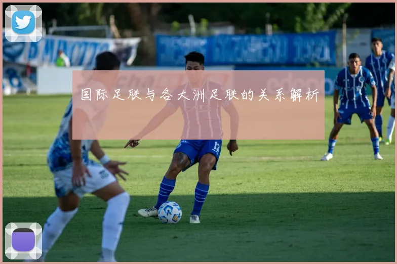 国际足联与各大洲足联的关系解析