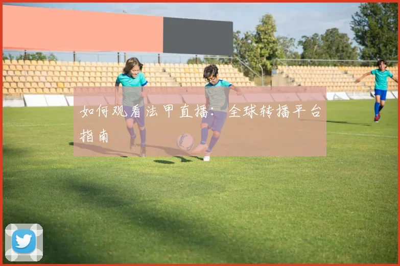 如何观看法甲直播：全球转播平台指南