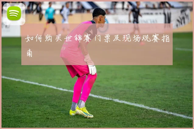 如何购买世锦赛门票及现场观赛指南