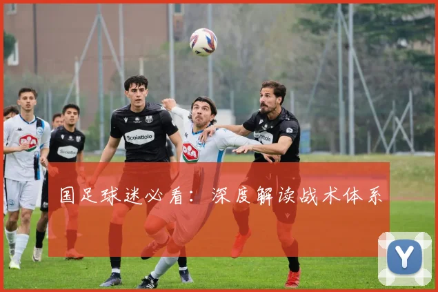 国足球迷必看：深度解读战术体系