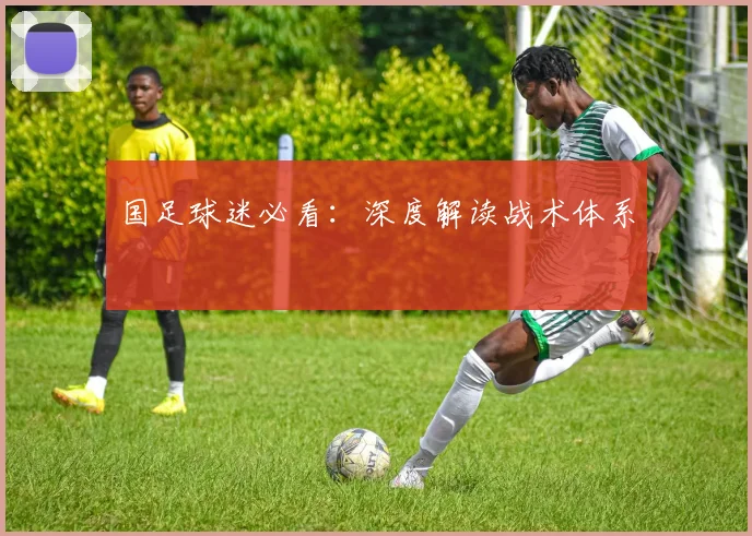 国足球迷必看：深度解读战术体系